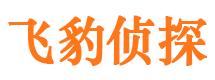 霍山市私人侦探